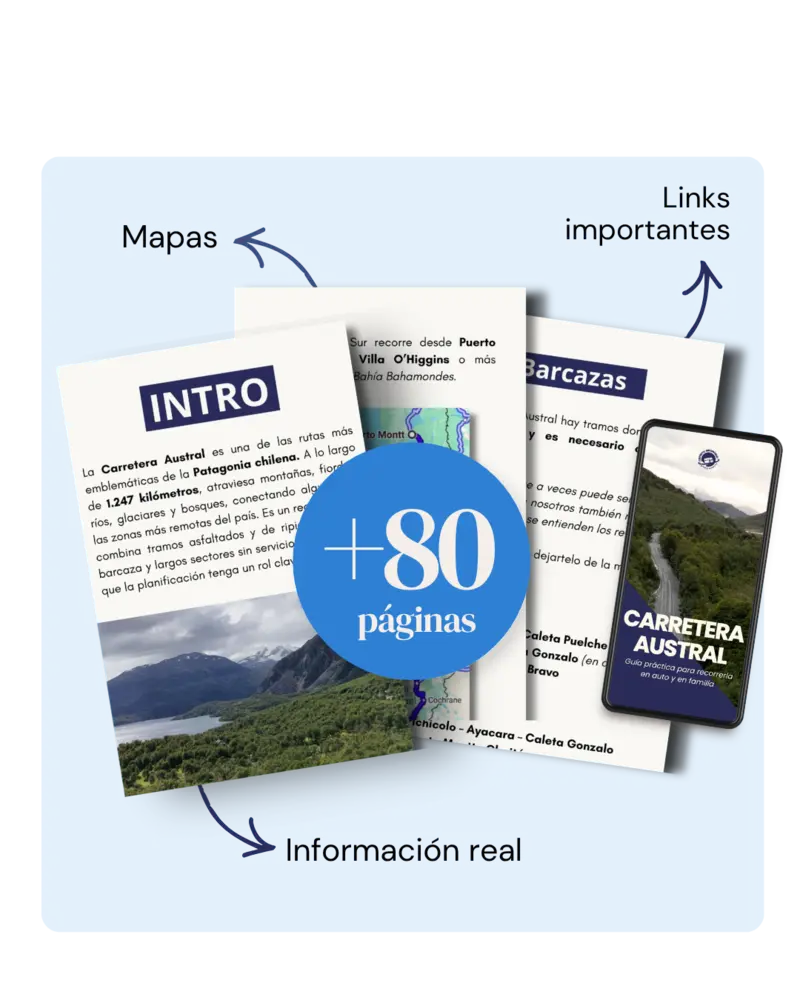 Guía en PDF